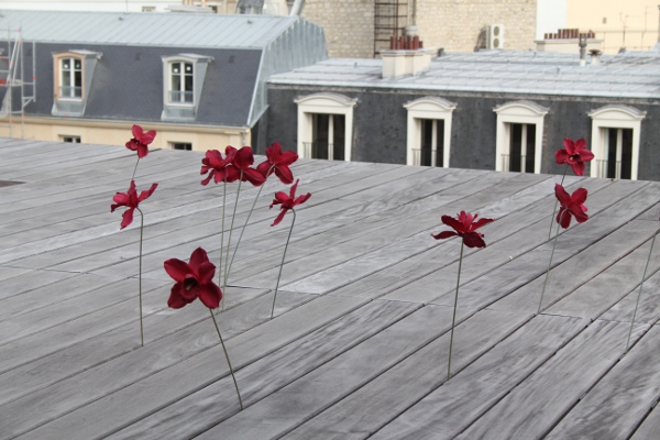 Maisonblancheterrasse