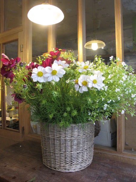 VertumeBouquet1