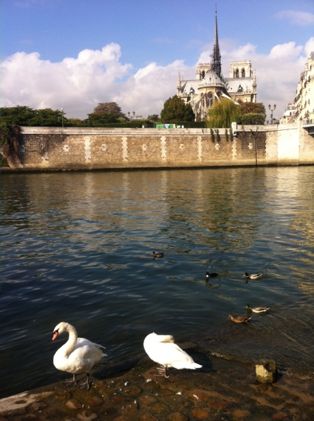 NotreDame