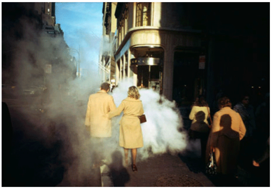 retrospective John Meyerowitz