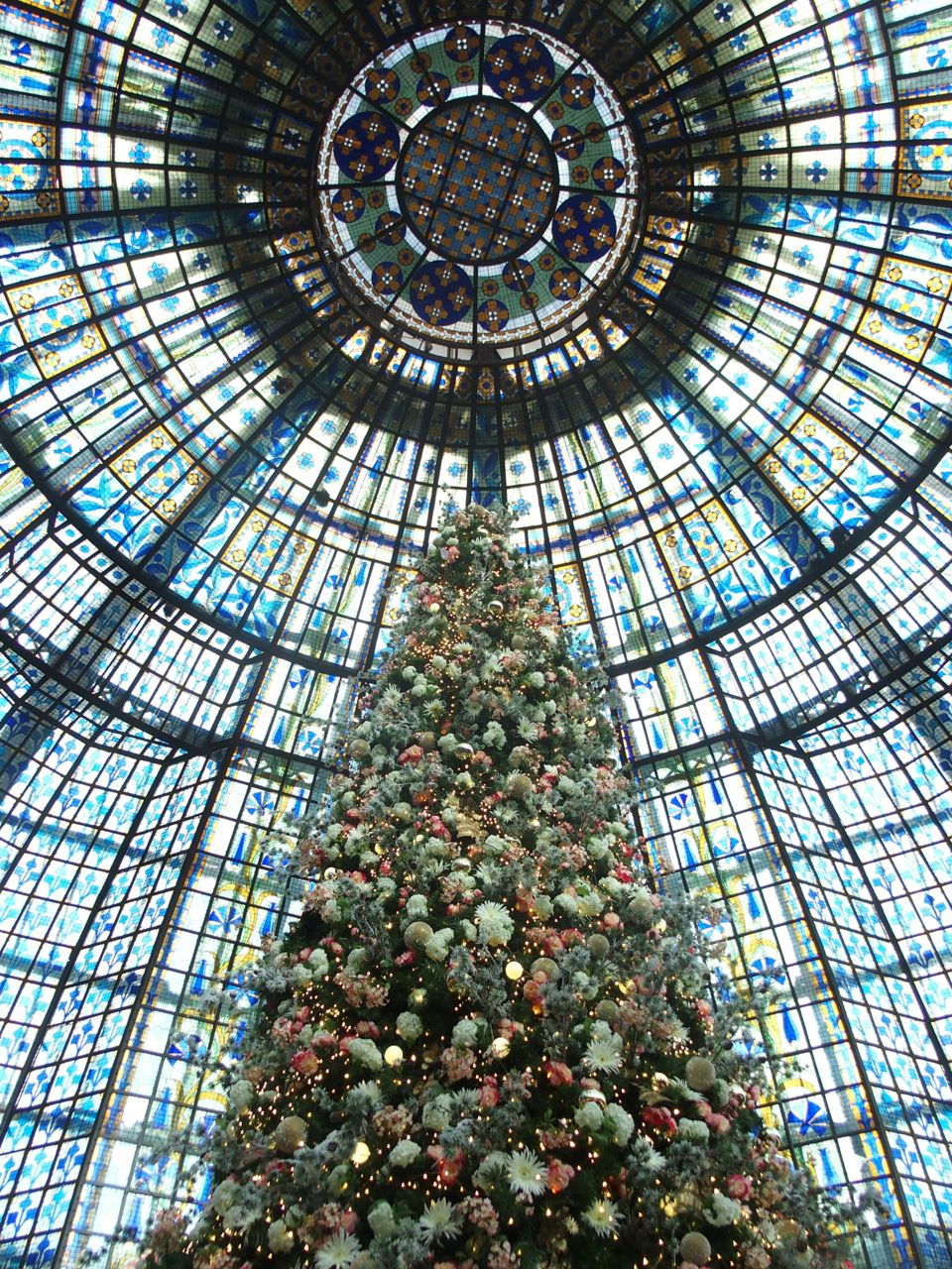 Coupole Brasserie Printemps