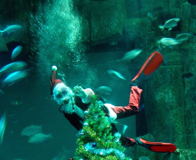 PERE NOEL PLONGEUR