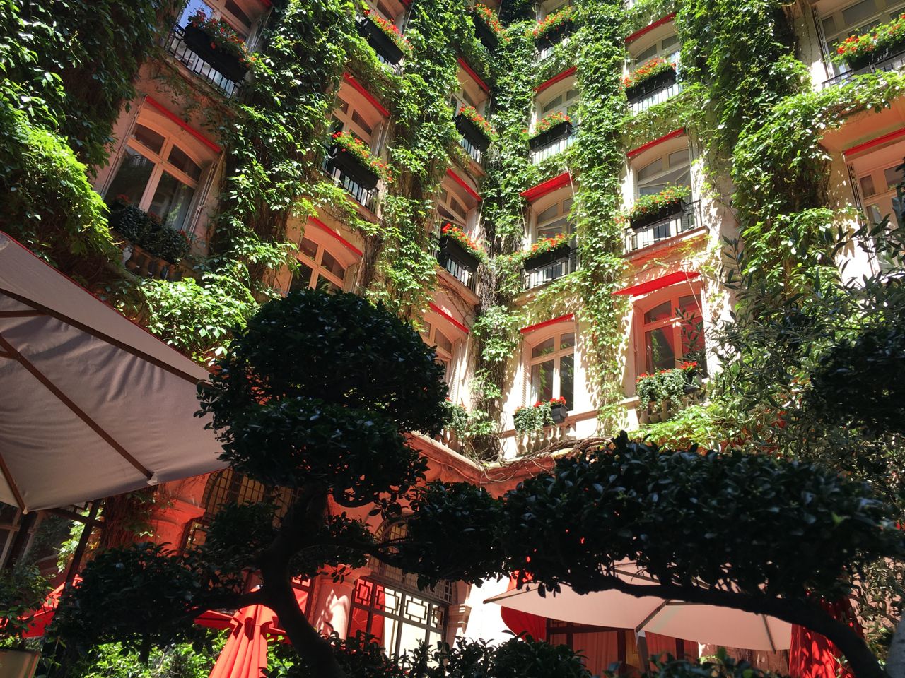 Cour Jardin