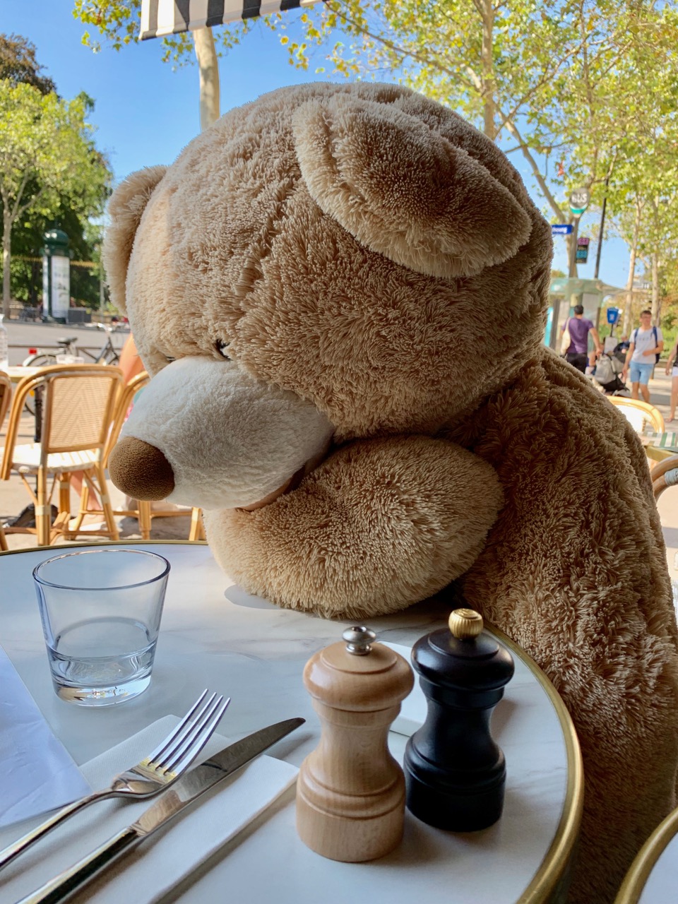 Le Choupinet - en terrasse