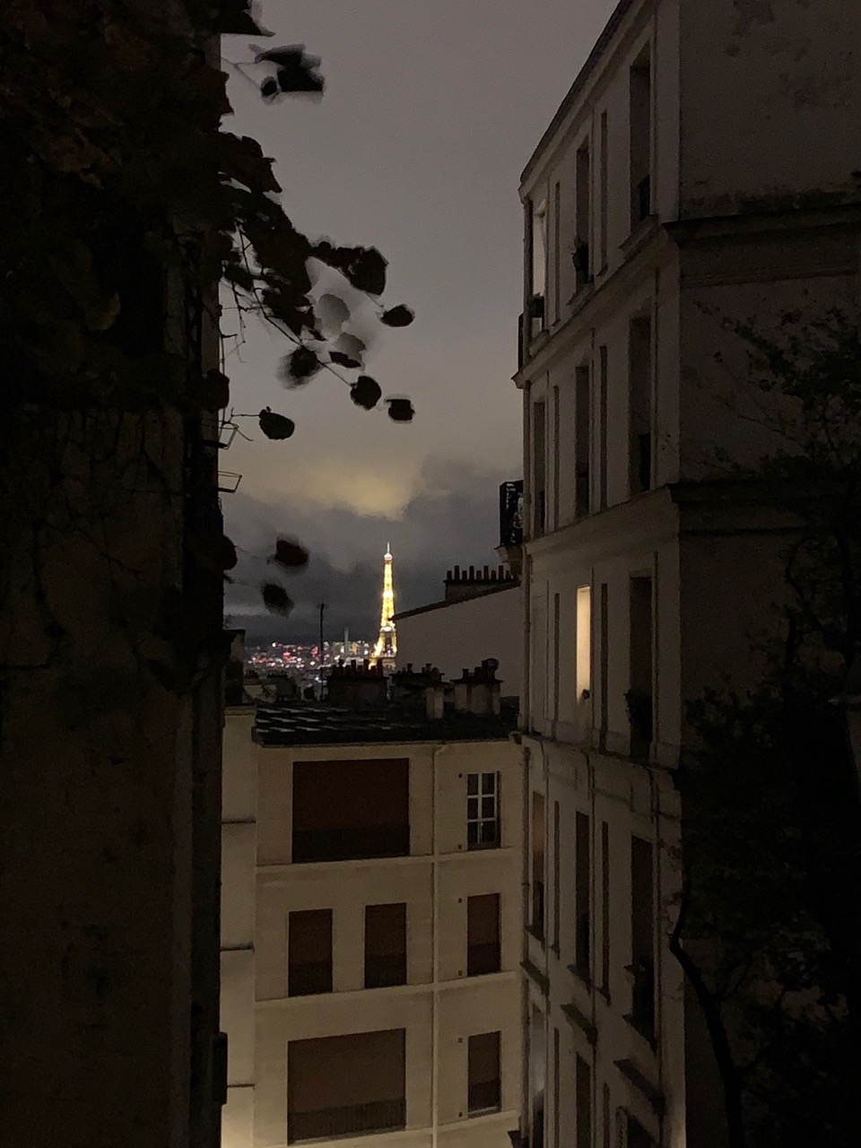 Photographie de l’article
