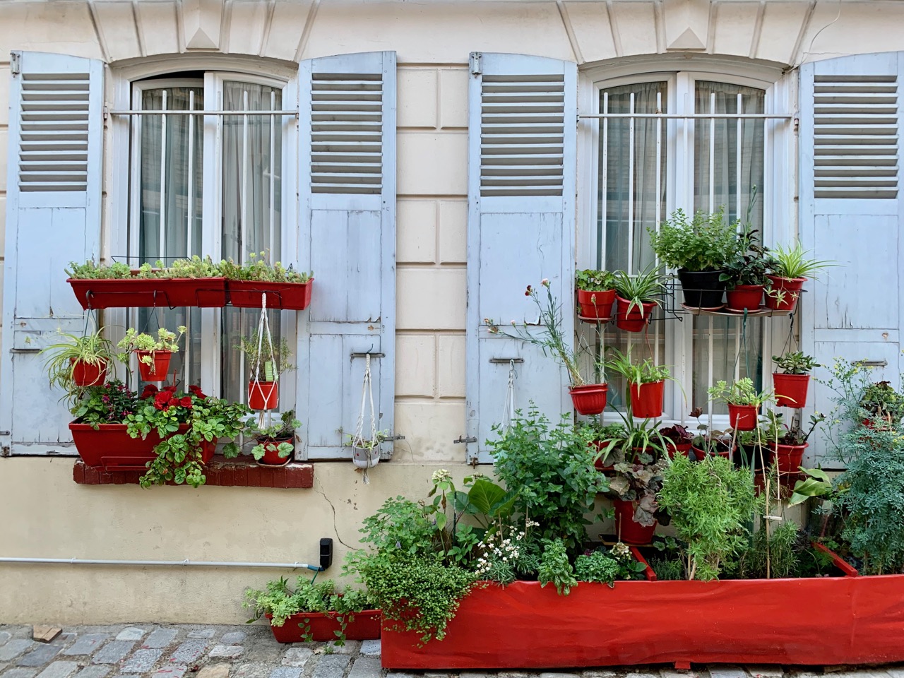 Photographie de l’article