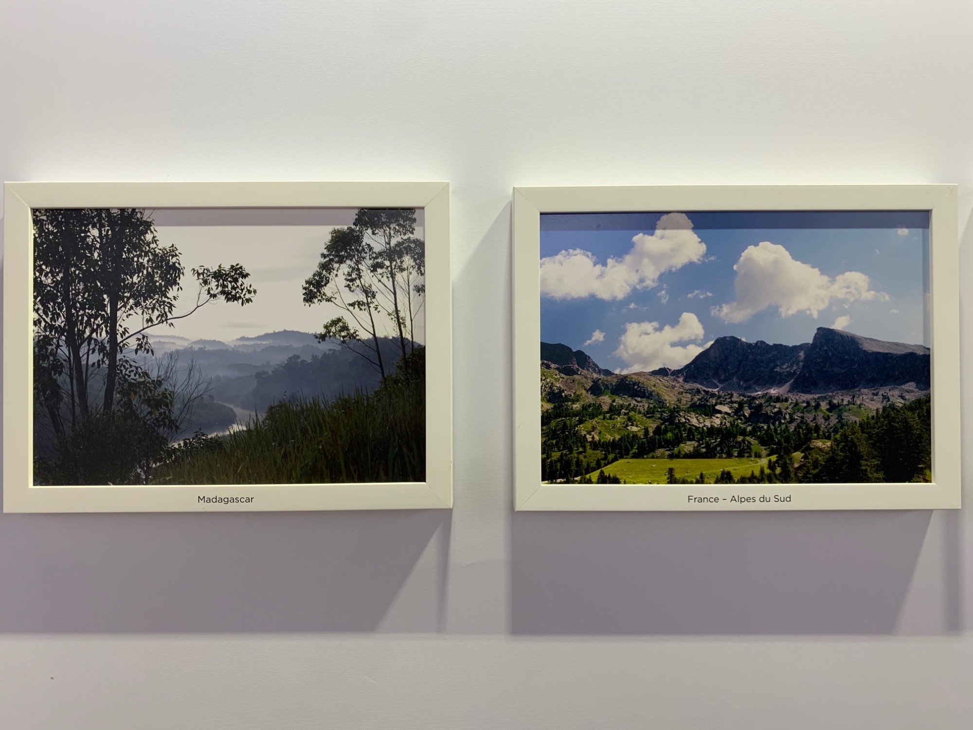 Photographie de l’article